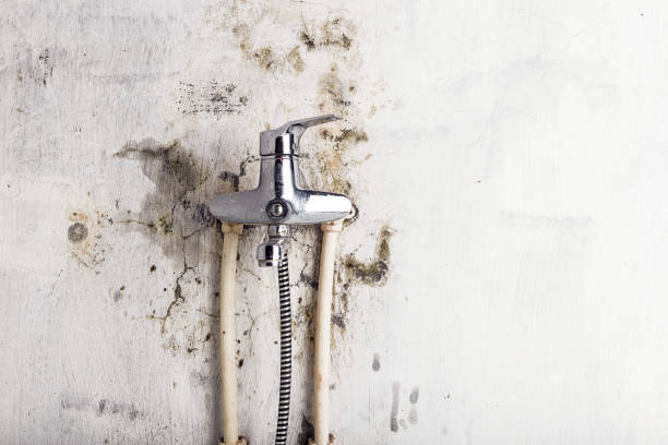 Best Localized Mold Remediation (e.g., coastal areas, humid climates) in Plover, WI