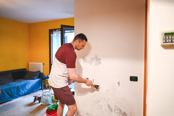 Best Basement Mold Remediation in Plover, WI
