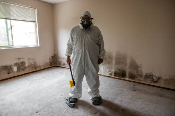 Best Commercial Mold Remediation in Plover, WI