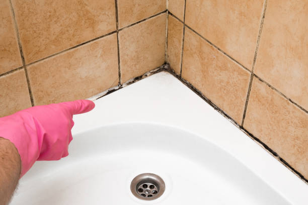 Best Residential Mold Remediation in Plover, WI